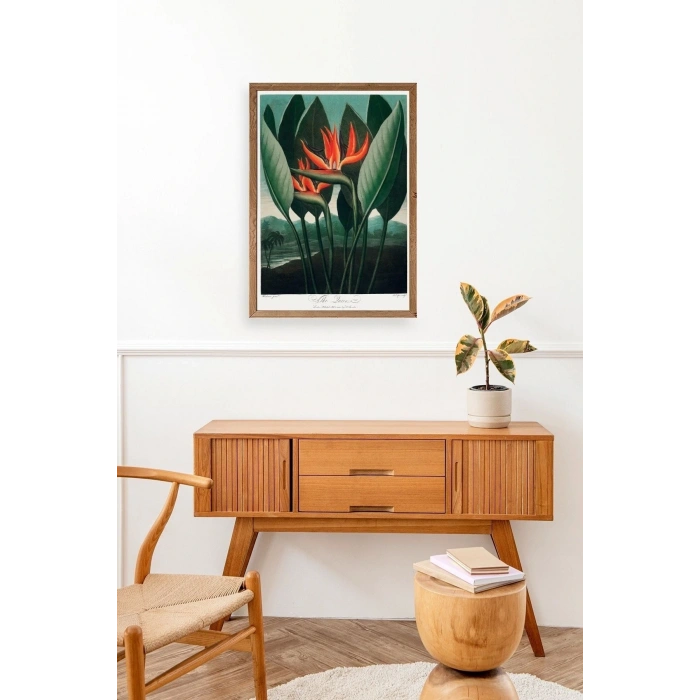 The Queen Plant Ahşap Çerçeveli Tablo 50 x 70