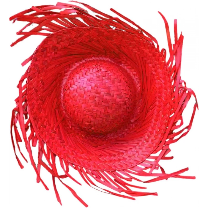 Tropical Party Red Straw Hawaii Hat