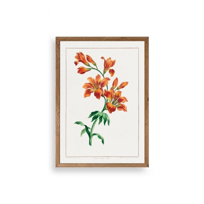 Turuncu Zambak Ahşap Çerçeveli Tablo 50 x 70