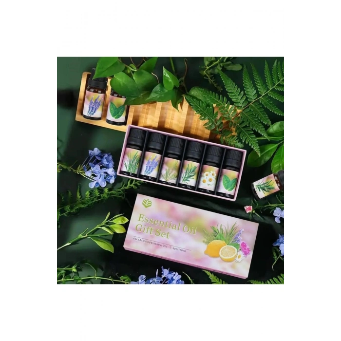 Uçucu Yağ Saf 3 LÜ Set Karışık Başlangıç Paketi Aroma Terapi