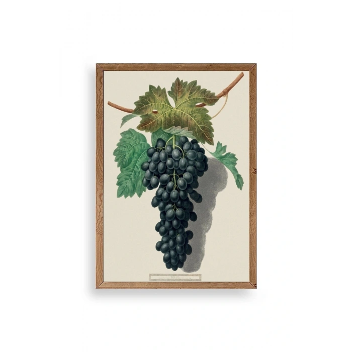Üzüm Ahşap Çerçeveli Tablo 50 x 70