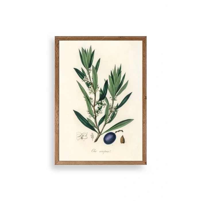 Yaprak Ahşap Çerçeveli Tablo 17 x 23