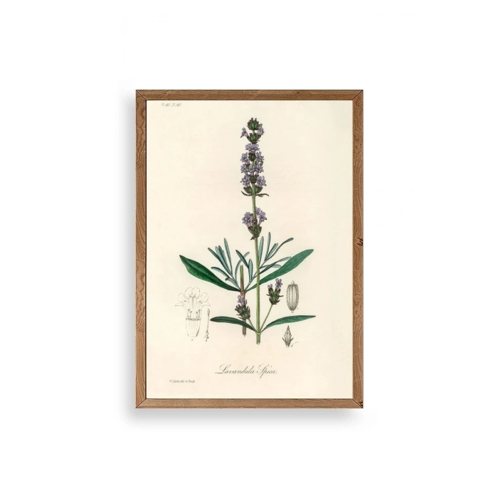 Yaprak Ahşap Çerçeveli Tablo 17 x 23