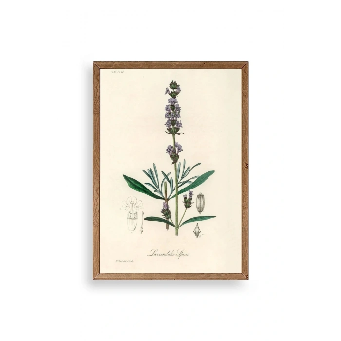 Yaprak Ahşap Çerçeveli Tablo 17 x 23