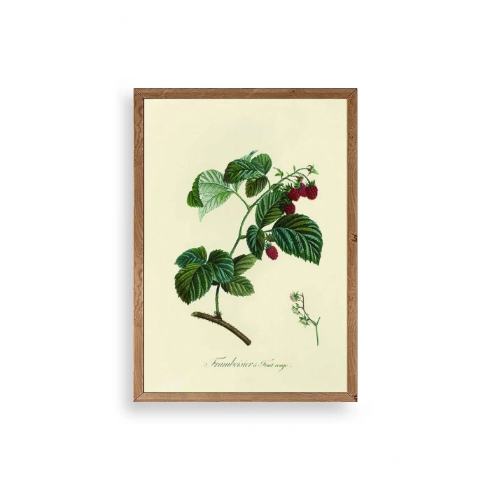 Yaprak Ahşap Çerçeveli Tablo 17 x 23