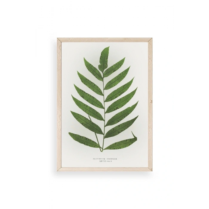 Yaprak Ahşap Çerçeveli Tablo 17 x 23