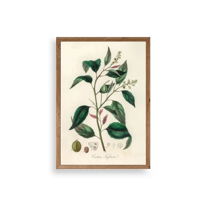 Yaprak Ahşap Çerçeveli Tablo 17 x 23