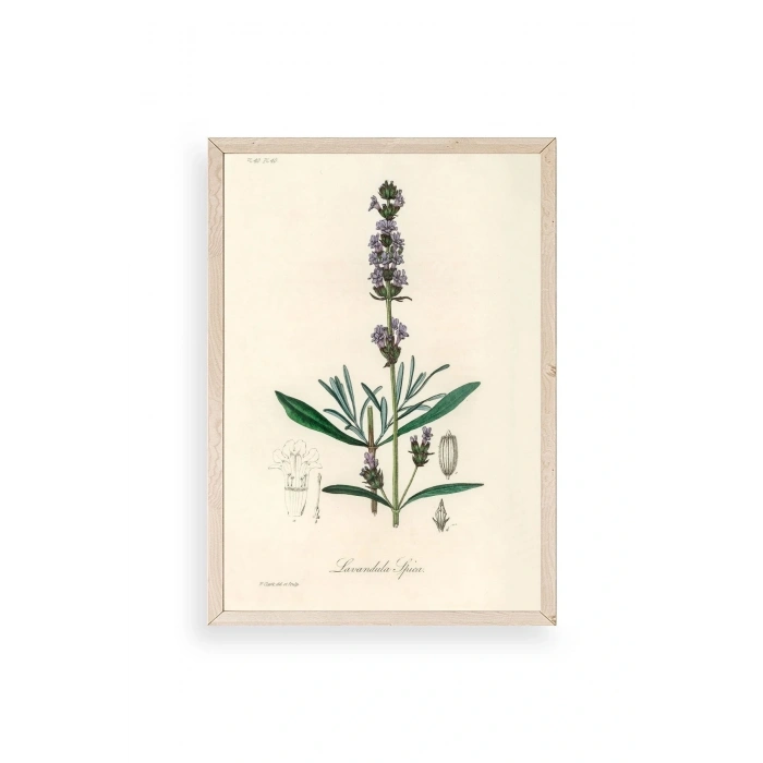 Yaprak Ahşap Çerçeveli Tablo 23 x 30