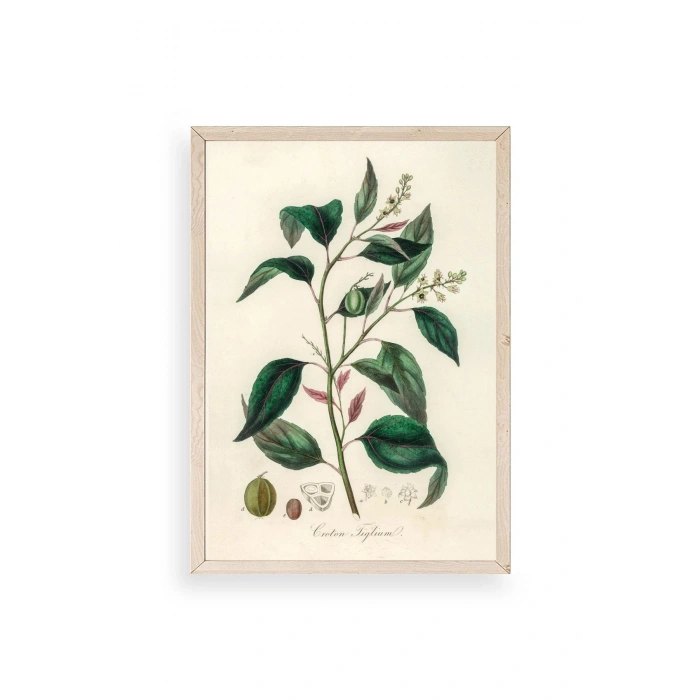 Yaprak Ahşap Çerçeveli Tablo 30 x 42