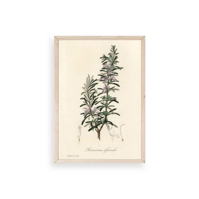 Yaprak Ahşap Çerçeveli Tablo 30 x 42