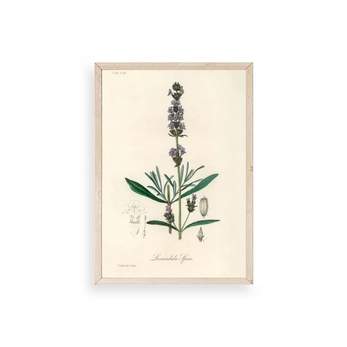 Yaprak Ahşap Çerçeveli Tablo 30 x 42