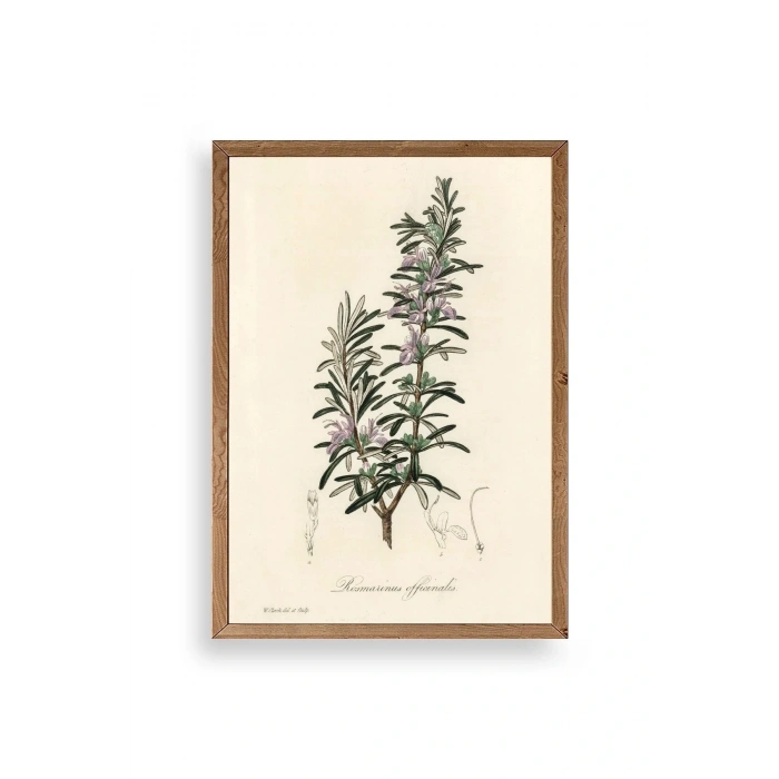 Yaprak Ahşap Çerçeveli Tablo 50 x 70