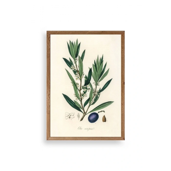 Yaprak Ahşap Çerçeveli Tablo 50 x 70