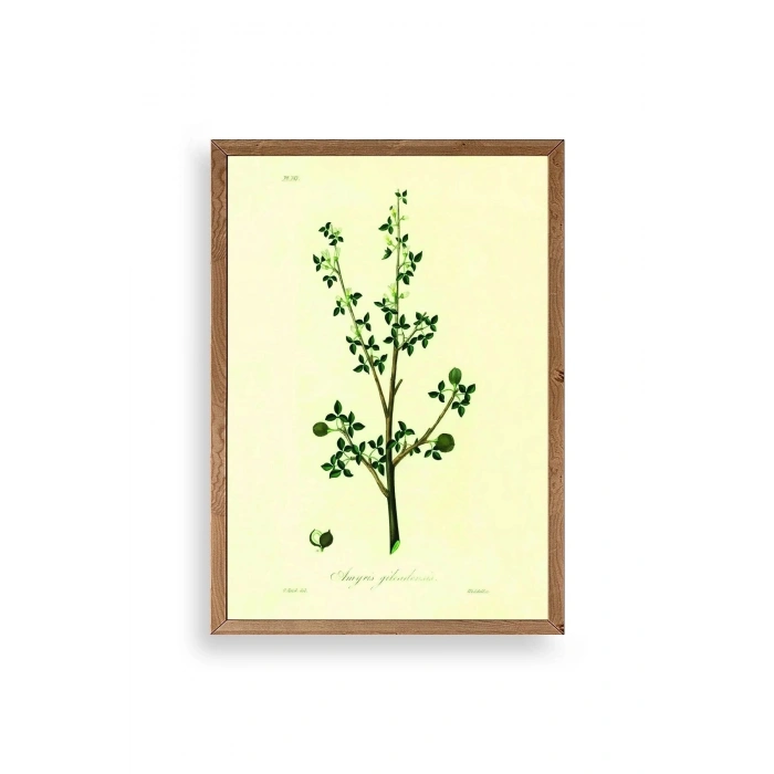 Yapraklar Ahşap Çerçeveli Tablo 17 x 23