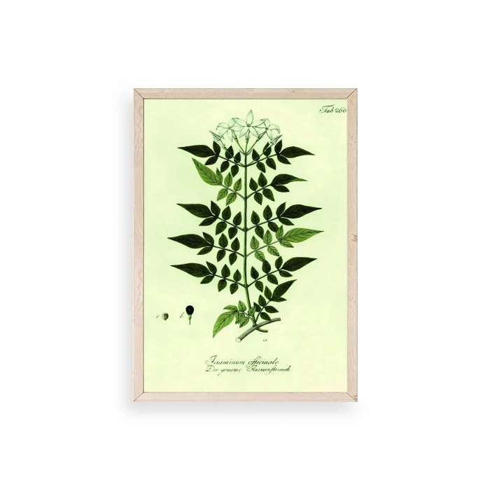 Yapraklar Ahşap Çerçeveli Tablo 23 x 30