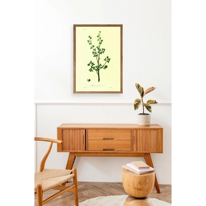 Yapraklar Ahşap Çerçeveli Tablo 23 x 30