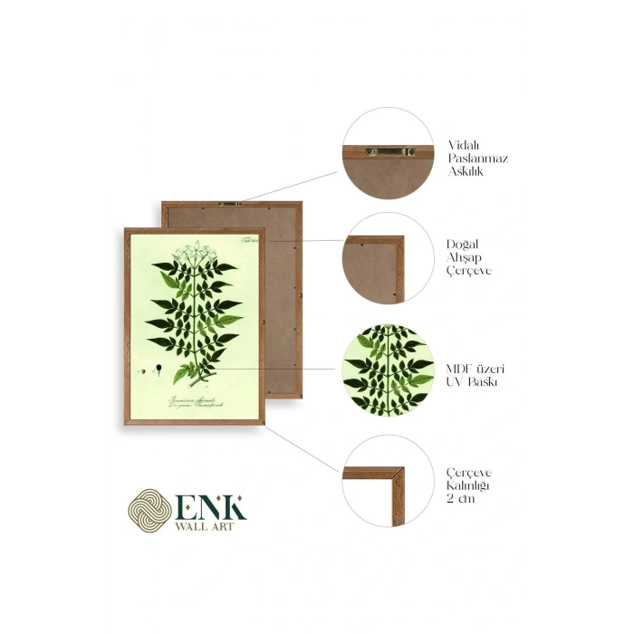 Yapraklar Ahşap Çerçeveli Tablo 23 x 30