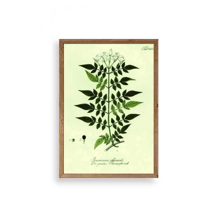 Yapraklar Ahşap Çerçeveli Tablo 30 x 42