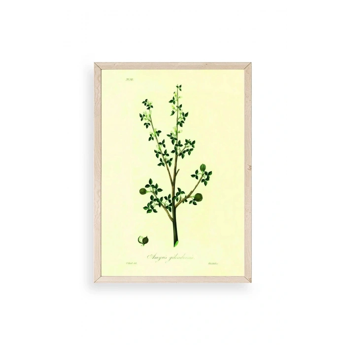 Yapraklar Ahşap Çerçeveli Tablo 30 x 42