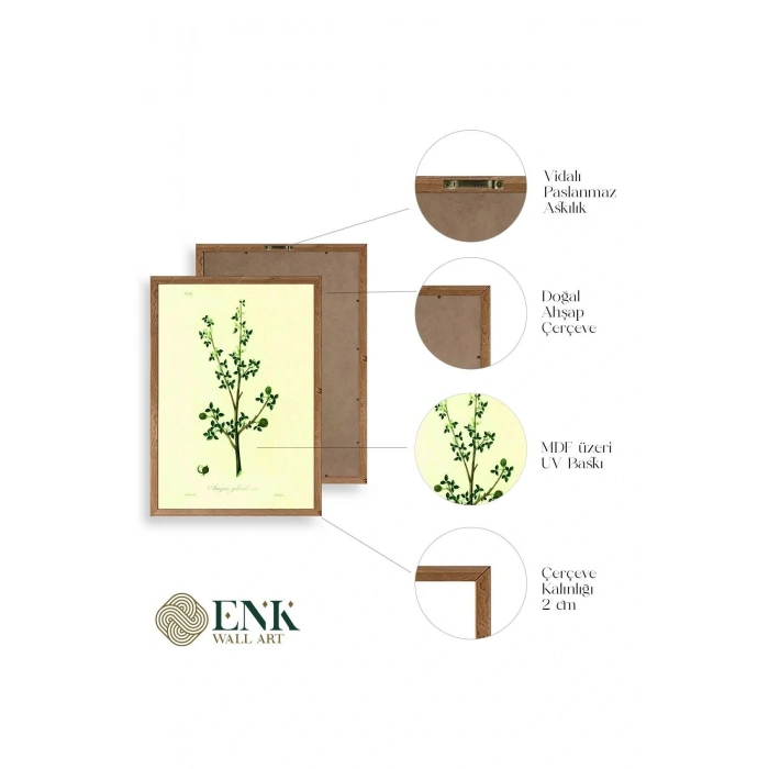 Yapraklar Ahşap Çerçeveli Tablo 50 x 70