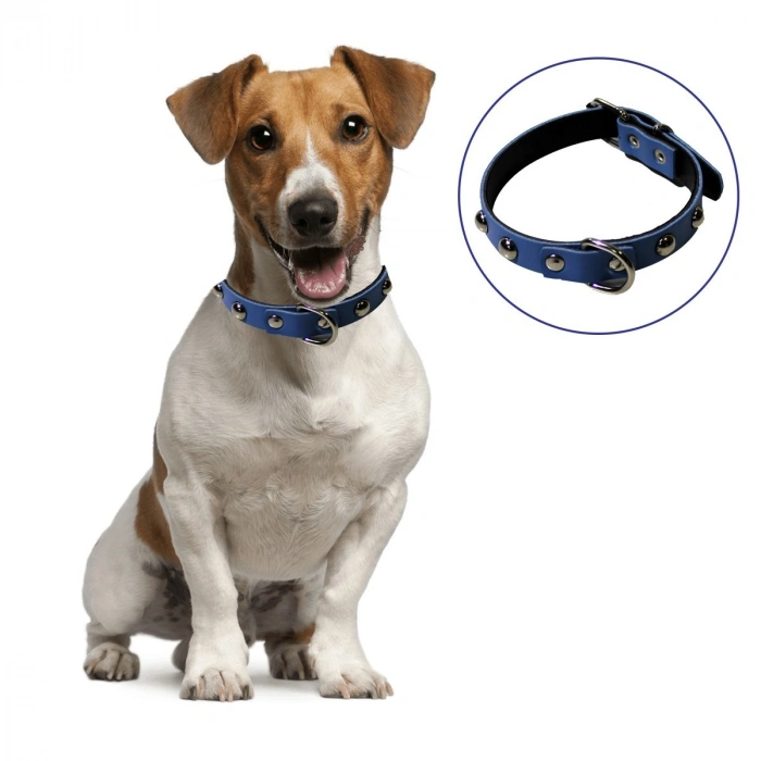 Yumuşak Dokulu Deri Köpek Gezdirme Boyun Tasması (Large) (5365)