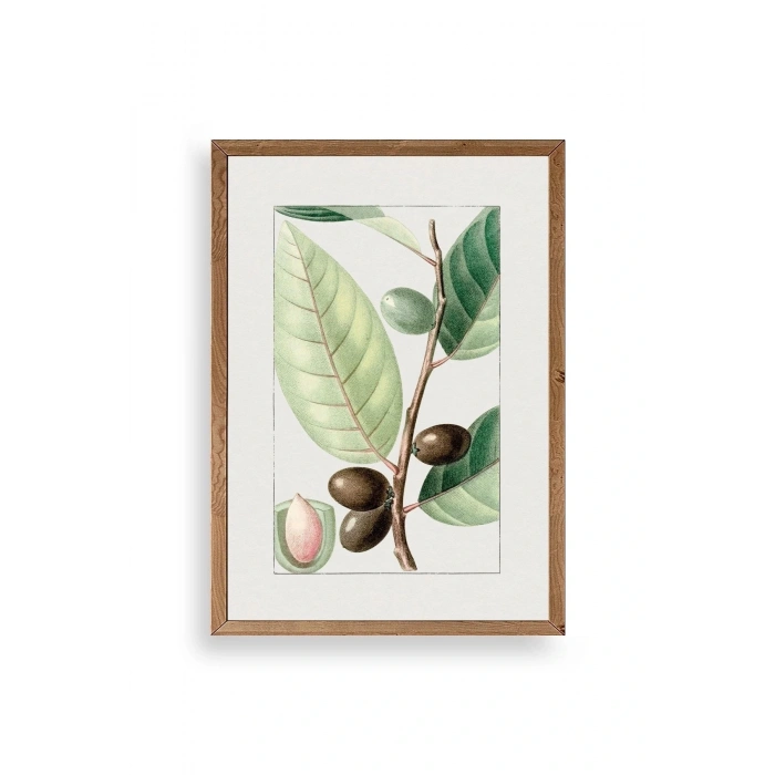 Zeytin Dalı Ahşap Çerçeveli Tablo 17 x 23