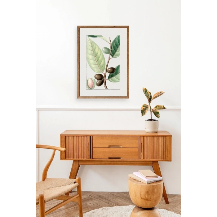 Zeytin Dalı Ahşap Çerçeveli Tablo 17 x 23