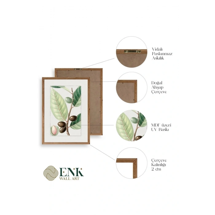 Zeytin Dalı Ahşap Çerçeveli Tablo 17 x 23