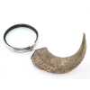 Horn Magnifier Model 2