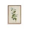 Çiçek Ahşap Çerçeveli Tablo 23 x 30