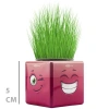 Çim Adam Mini Küp Emoji Figürlü 1 Adet
