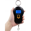 Digital Electronic LED Screen Hand Scale Pocket Weighing Scale (5365)