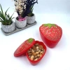 Durukar® 2-Piece Nested Strawberry Design Storage and Feeding Container Set (550 ml + 250 ml)