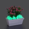 Durukar® Decorative Pebbles Glow in the Dark