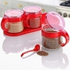 Durukar® Red 3-piece Stand with Lid and Spoon Glass Airtight Spice Jar Set KC-386