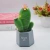 Durukar® LED Lighted Cactus Figurine Home Decoration and Gift LED Lighting