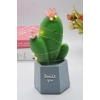 Durukar® LED Lighted Cactus Figurine Home Decoration and Gift LED Lighting