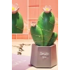 Durukar® LED Lighted Cactus Figurine Home Decoration and Gift LED Lighting