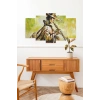 Erkek Müzik 5 Parçalı Mdf Tablo 60 x 100