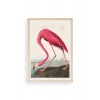 Flamingo Ahşap Çerçeveli Tablo 17 x 23
