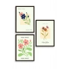 Flower Market Üçlü Ahşap Çerçeveli Tablo 23 x 30
