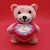 Gift Pink Boxed Teddy Bear