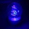 Işıklı Kristal Cam Küre 3 Adet Mini Saat İle