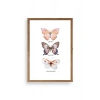 Kelebekler Ahşap Çerçeveli Tablo 23 x 30