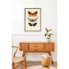 Kelebekler Ahşap Çerçeveli Tablo 50 x 70