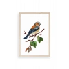 Kuş Ahşap Çerçeveli Tablo 23 x 30