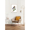 Kuş Ahşap Çerçeveli Tablo 23 x 30