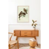 Kuş Ahşap Çerçeveli Tablo 23 x 30
