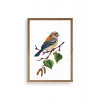 Kuş Ahşap Çerçeveli Tablo 30 x 42