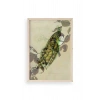 Kuş Ahşap Çerçeveli Tablo 30 x 42